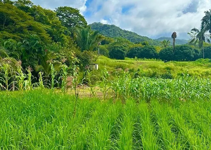 Harmonic Farms Beachfront Villa Nandayure